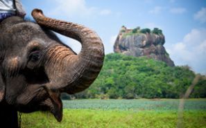 Oto kiralama Sri Lanka